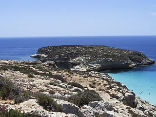 Image showing Island of rabbits, in Lampedusa - Sicily