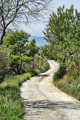 Image showing Sicilian country road