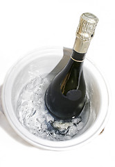 Image showing Cold bottle of champagne on ice