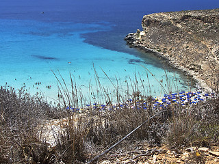 Image showing Island of rabbits, in Lampedusa - Sicily