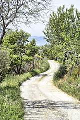 Image showing Sicilian country road