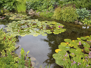 Image showing Garden pond