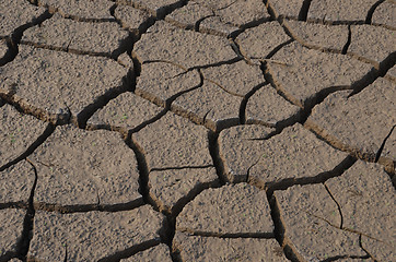 Image showing Dry land