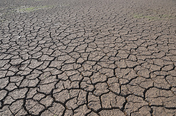 Image showing Dry land