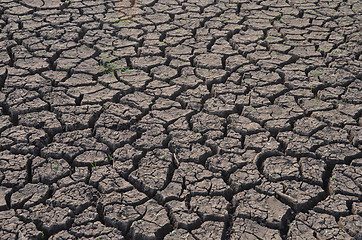 Image showing Dry land