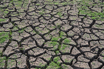 Image showing Dry land