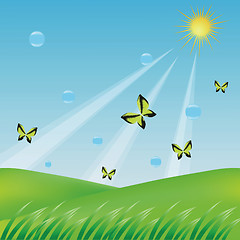 Image showing butterflies