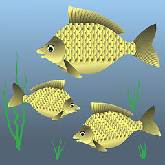 Image showing fish