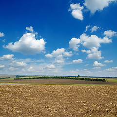 Image showing black ploughed field under blue sky