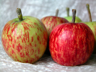 Image showing apples