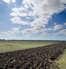 Image showing ploughed field after harvesting