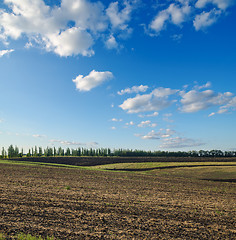 Image showing black ploughed field under blue sky