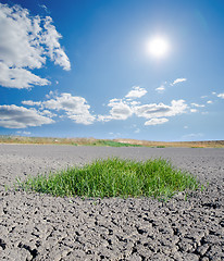 Image showing sun over drought land