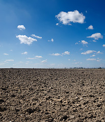 Image showing black field under deep blue sky