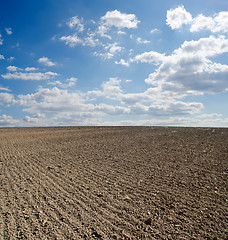Image showing black ploughed field under blue sky