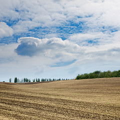 Image showing black field after harvesting