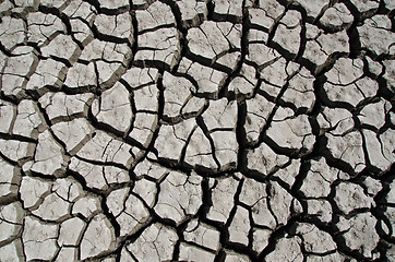 Image showing dry earth as texture