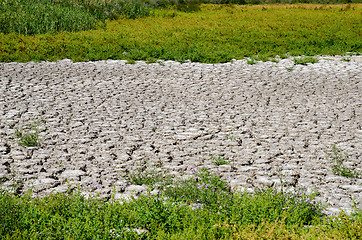 Image showing green grass around drought land