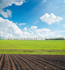 Image showing black and green field under cloudy sky