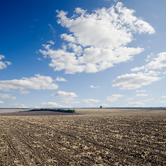 Image showing black field after harvesting