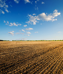 Image showing black ploughed field under blue sky