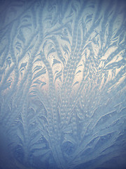 Image showing Ice natural pattern on glass