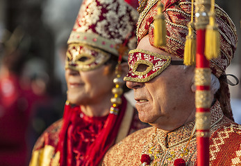 Image showing Disguised Couple