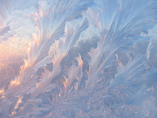 Image showing Ice pattern on glass