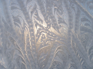 Image showing Ice natural pattern on glass