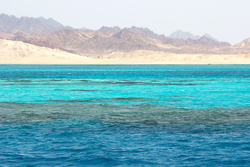 Image showing Ras Mohammed in the Red Sea, Egypt