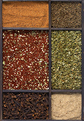 Image showing various spices