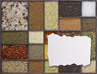 Image showing various spices