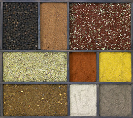 Image showing various spices