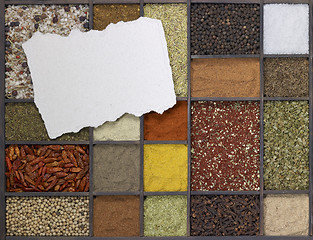 Image showing various spices