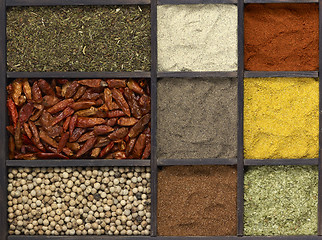 Image showing various spices