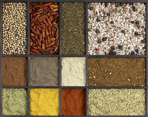 Image showing various spices