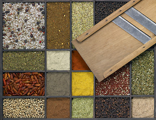 Image showing various spices