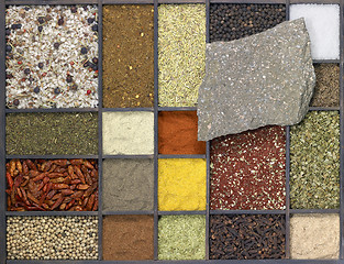 Image showing various spices