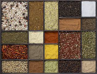 Image showing various spices