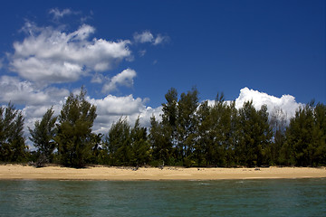 Image showing hill  in madagascar nosy be