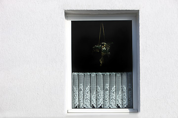 Image showing Window with decorative net curtain