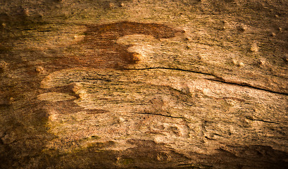 Image showing Vintage Grungy Old Wood.