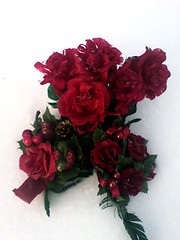 Image showing red roses