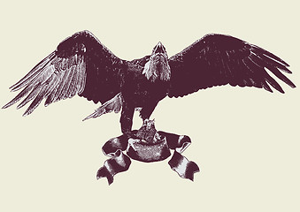 Image showing eagle