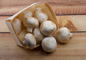 Image showing Mushrooms