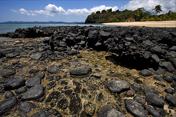 Image showing  in nosy be madagascar