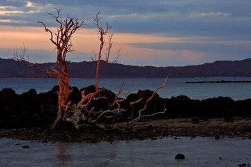 Image showing sunset red stone tree hill 