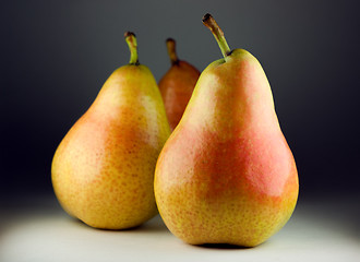 Image showing Freshly harvested pears