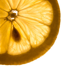 Image showing close-up of lemon slice