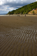 Image showing   people  river   palm  rock stone